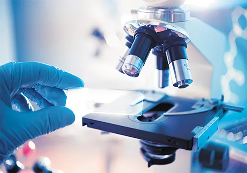 Health & Life Sciences